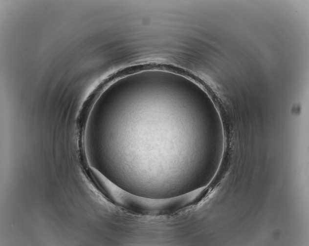 X0000090631118200707241146