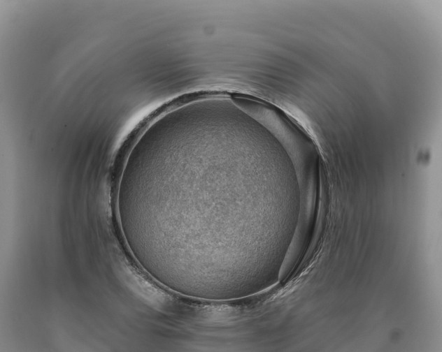 X0000090631120200707241146