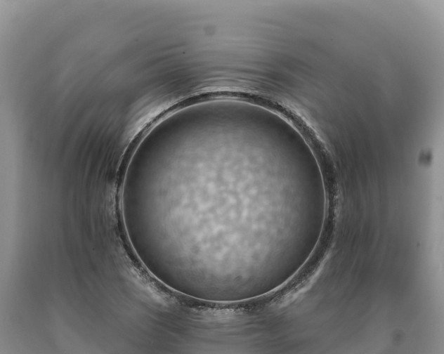 X0000090631121200707241146