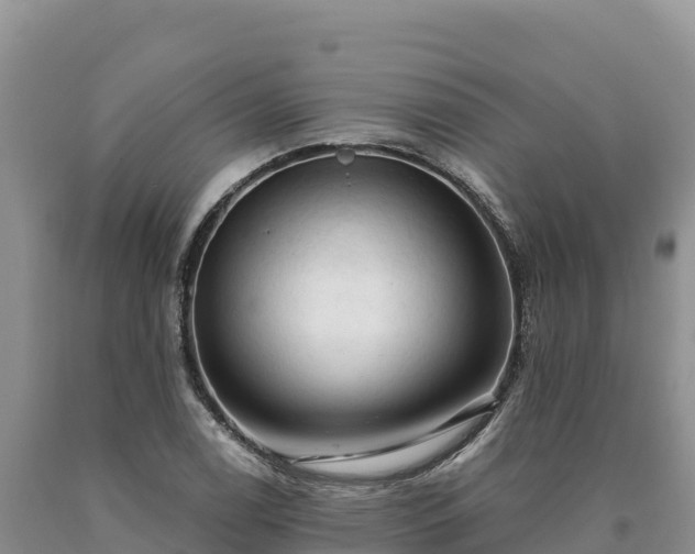 X0000090631122200707241146