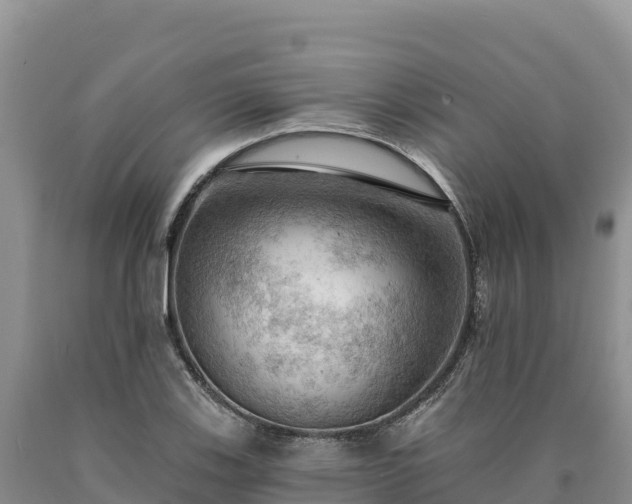 X0000090631123200707241146