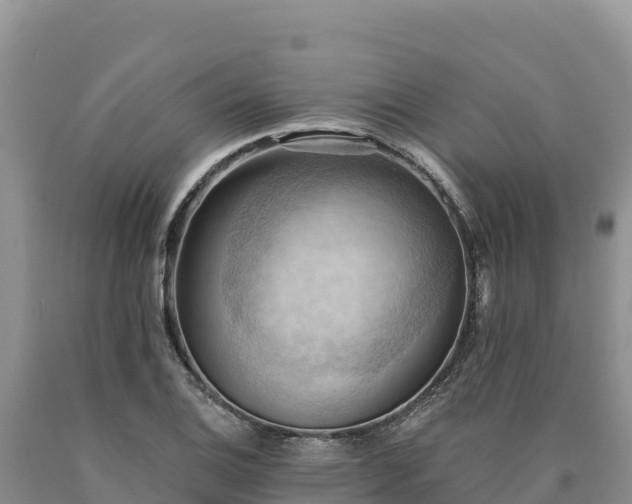 X0000090631124200707241146