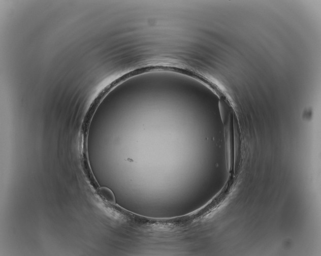 X0000090631125200707241146
