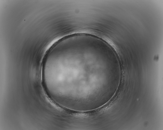 X0000090631127200707241146