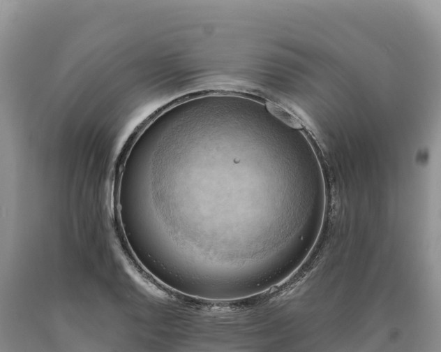 X0000090631128200707241146