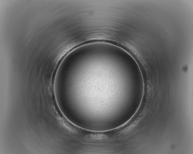 X0000090631129200707241146