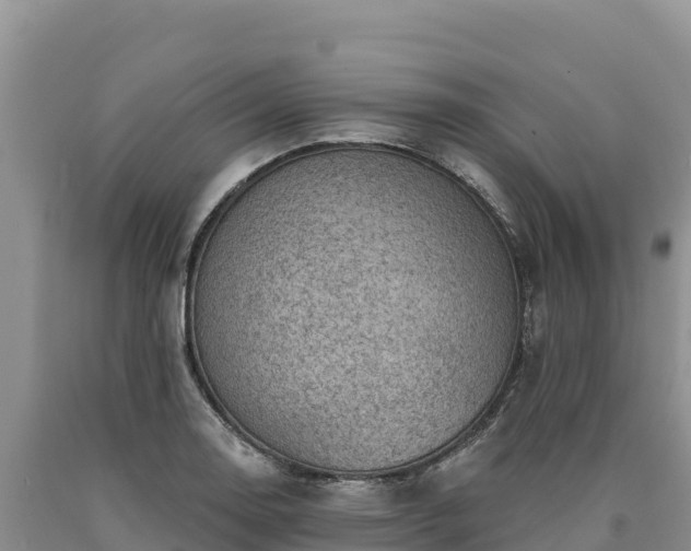 X0000090631130200707241146