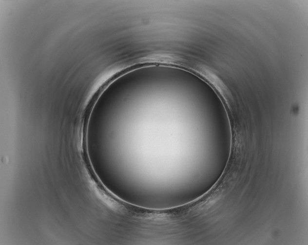 X0000090631131200707241146