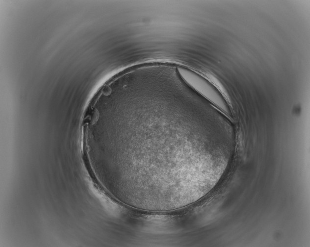 X0000090631132200707241146