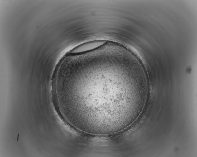 X0000090631133200707241146