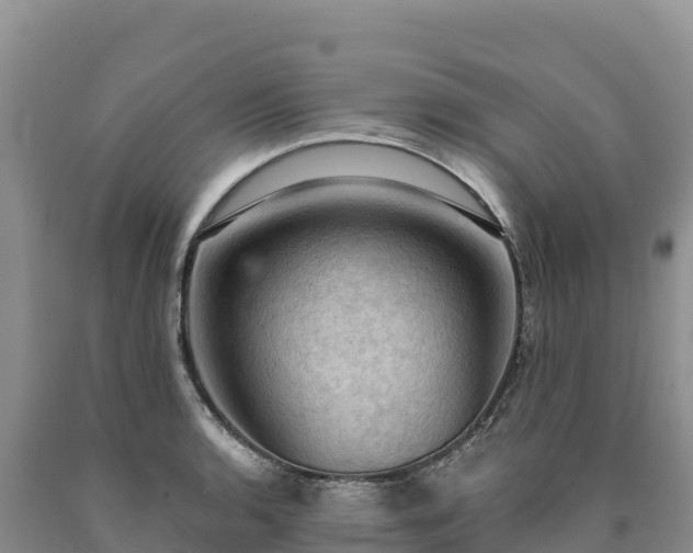 X0000090631136200707241146