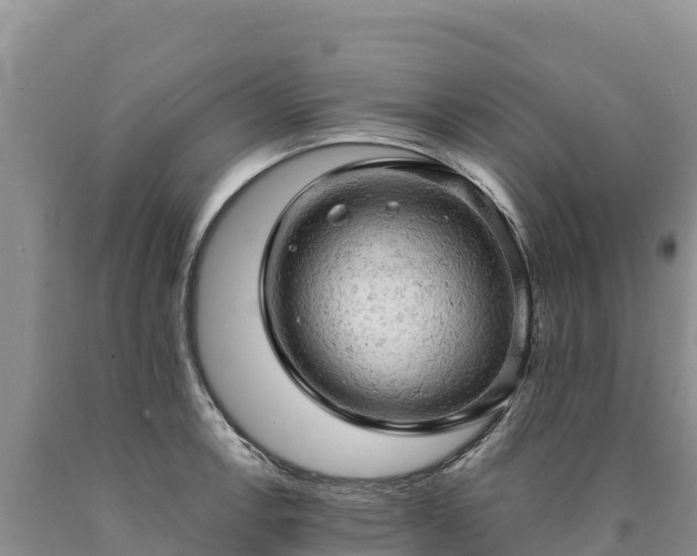 X0000090631138200707241146