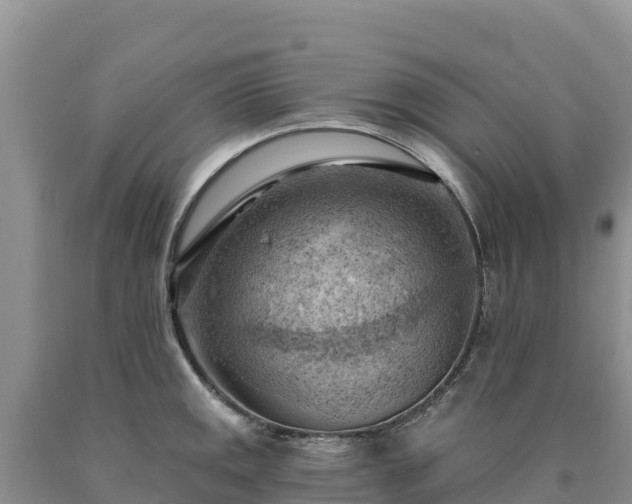 X0000090631141200707241146