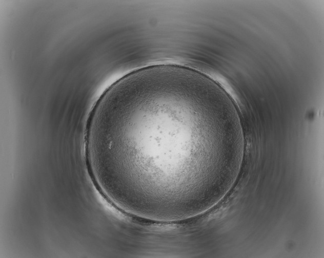 X0000090631143200707241146