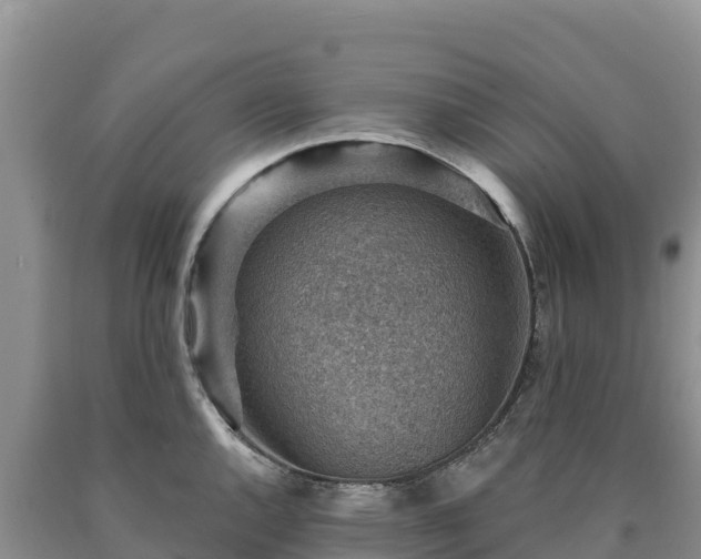 X0000090631144200707241146