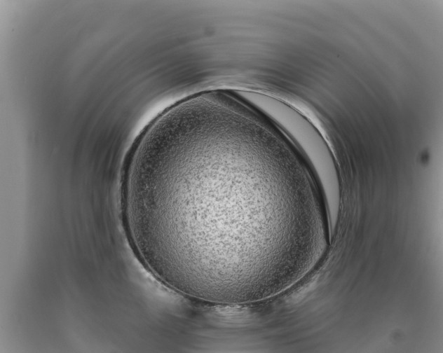 X0000090631147200707241146
