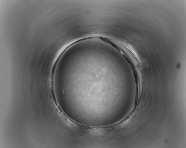 X0000090631148200707241146