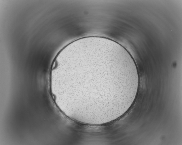 X0000090631150200707241146