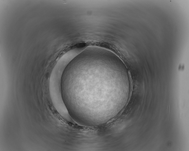 X0000090631153200707241146