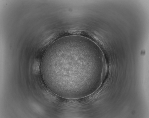 X0000090631154200707241146
