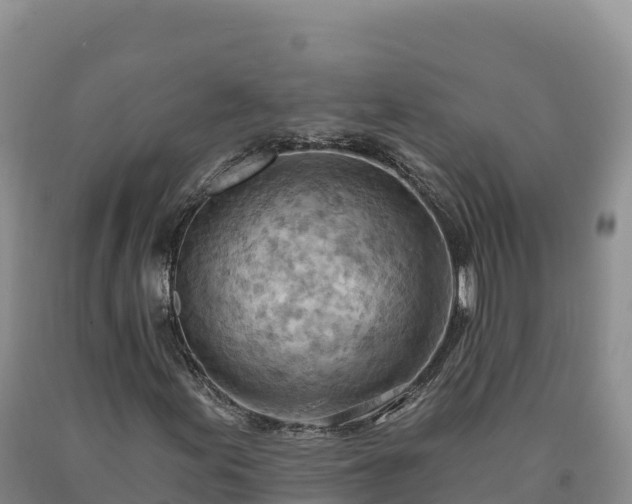 X0000090631155200707241146