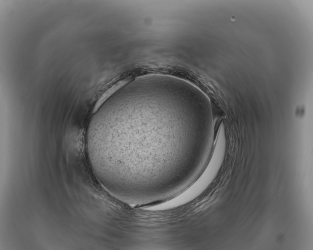 X0000090631156200707241146