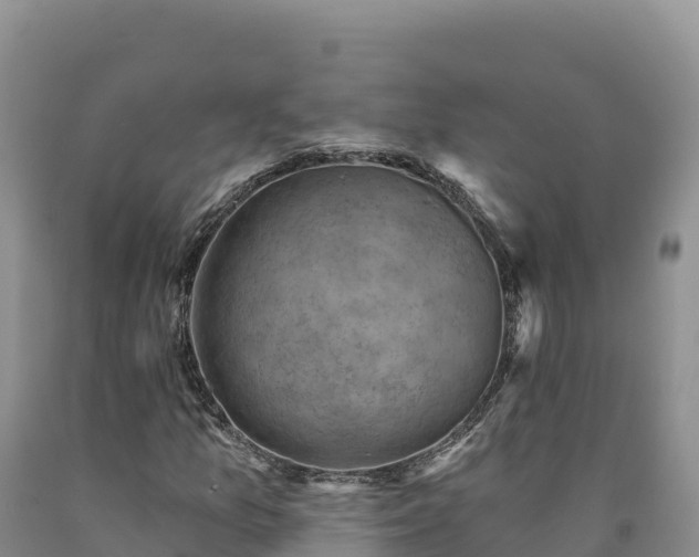 X0000090631157200707241146