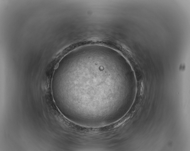 X0000090631158200707241146