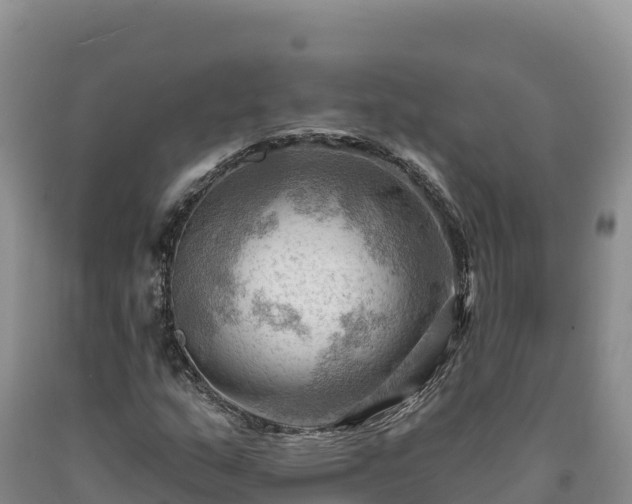 X0000090631159200707241146