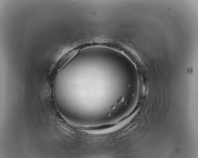 X0000090631160200707241146