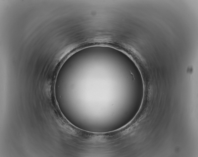 X0000090631162200707241146