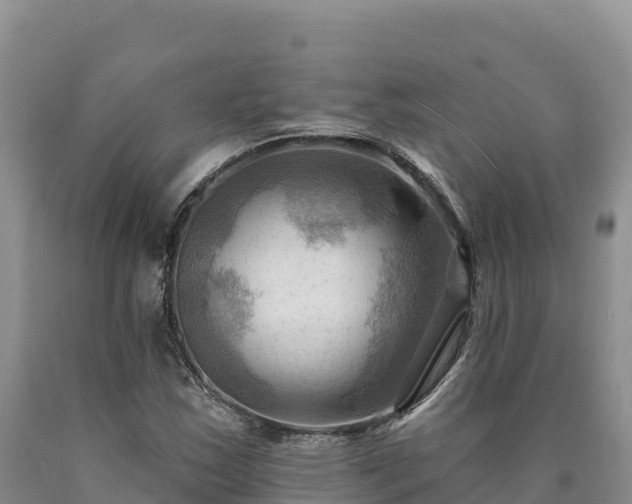 X0000090631163200707241146