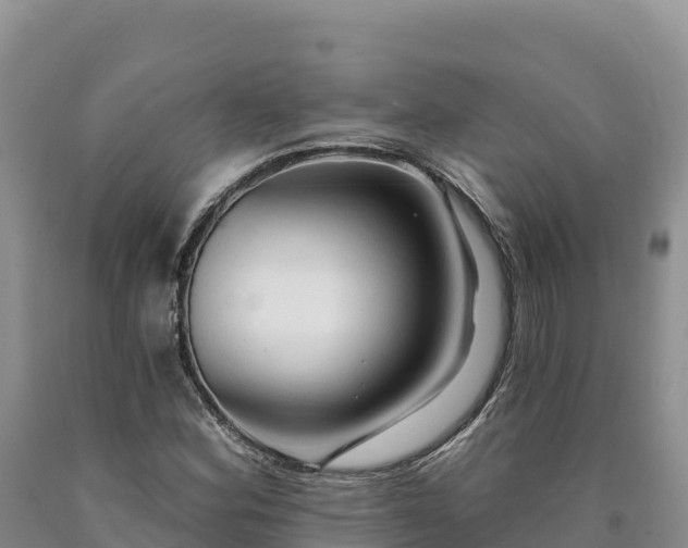 X0000090631164200707241145