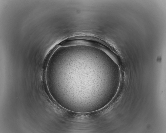 X0000090631165200707241145