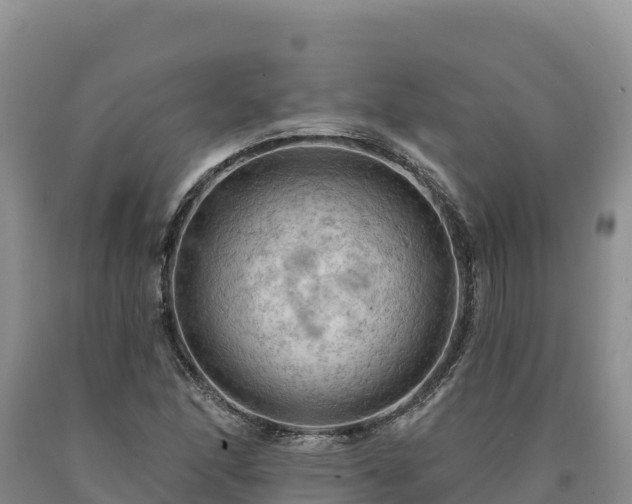 X0000090631166200707241145