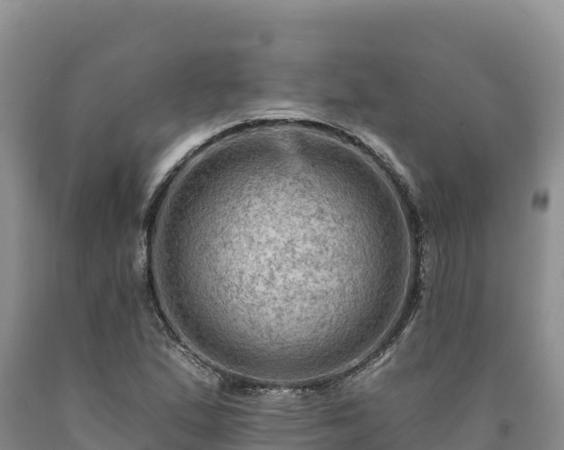 X0000090631167200707241145