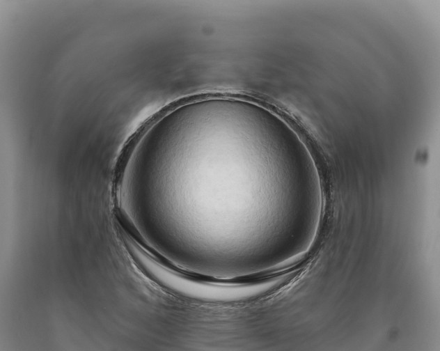 X0000090631168200707241145