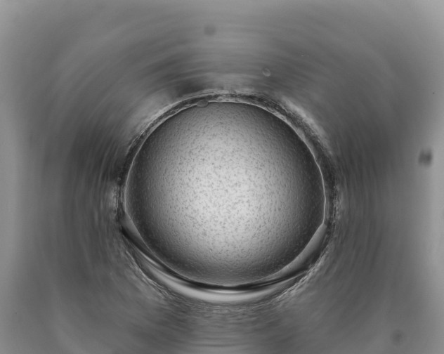 X0000090631169200707241145