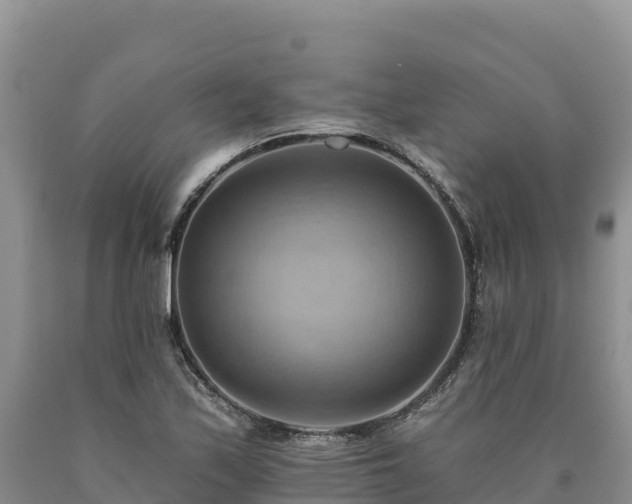 X0000090631171200707241145