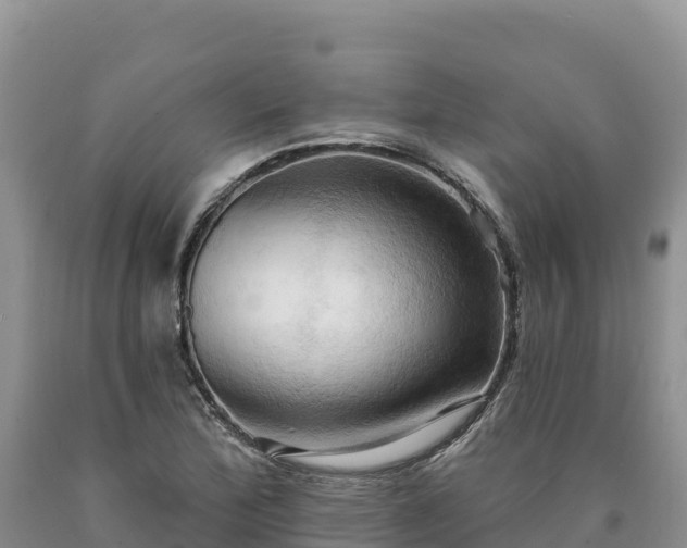 X0000090631172200707241145