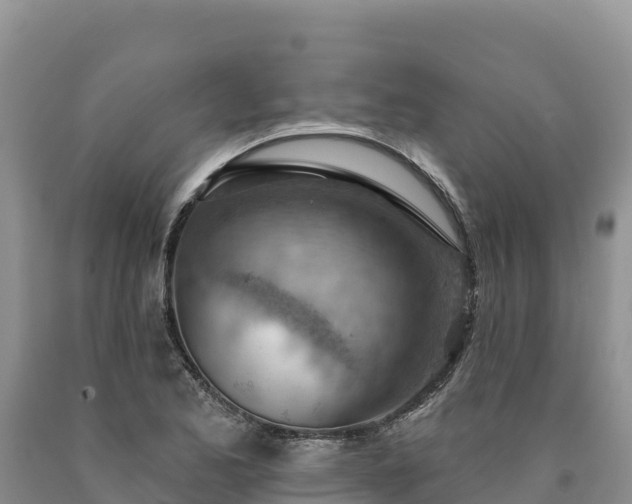X0000090631173200707241145