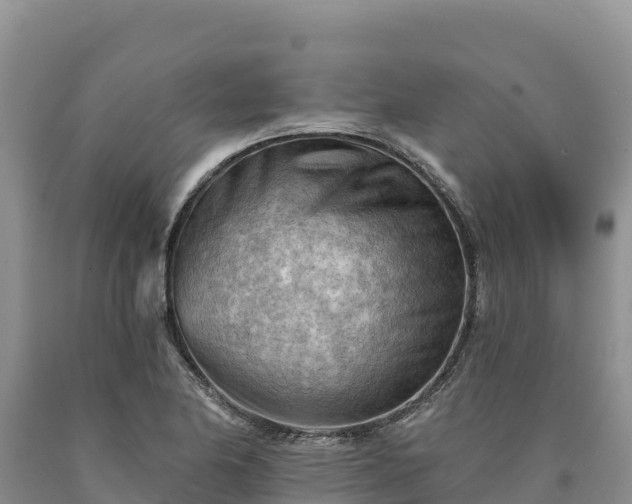 X0000090631174200707241145