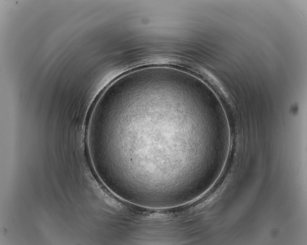 X0000090631178200707241145
