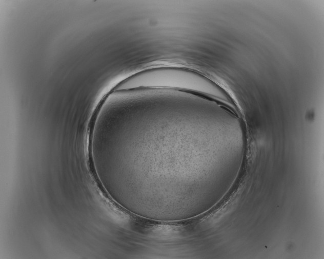 X0000090631179200707241145