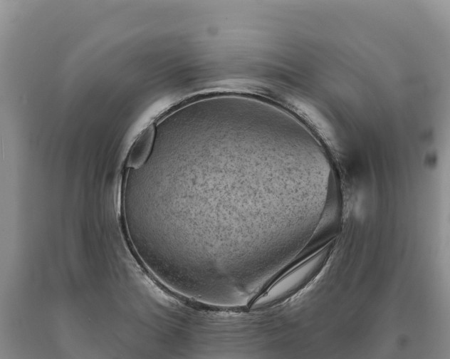 X0000090631180200707241145