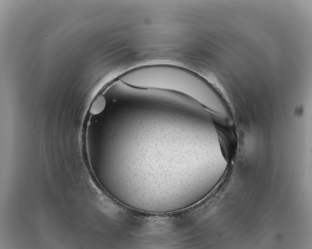 X0000090631181200707241145