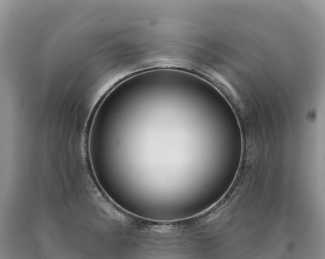 X0000090631182200707241145
