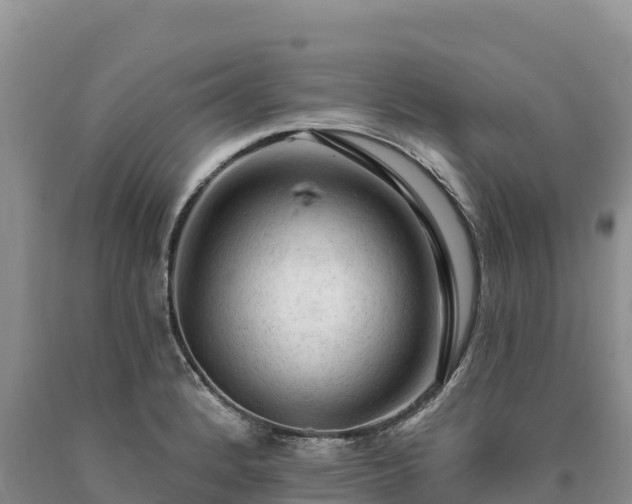 X0000090631184200707241145