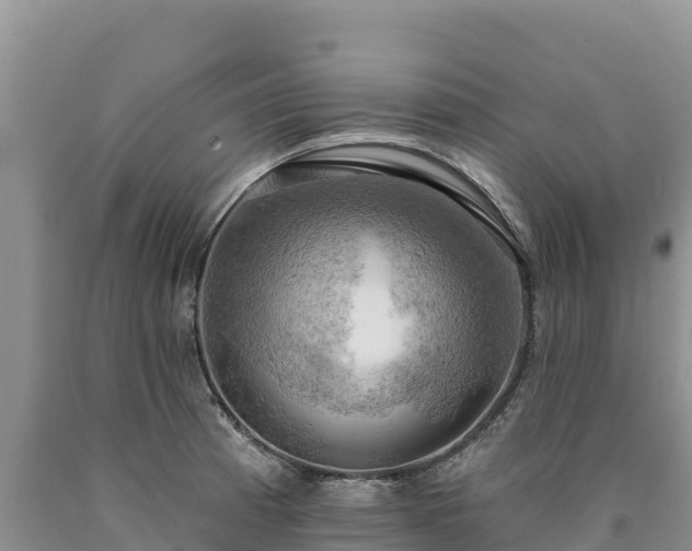 X0000090631185200707241145