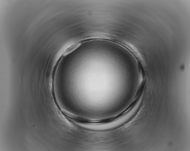 X0000090631188200707241145